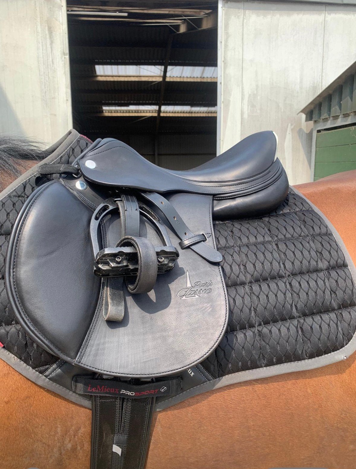 Prestige Paris – 17 inch – boommaat 33 – bouwjaar 2023, Dieren en Toebehoren, M (17 inch), Prestige, Ophalen of Verzenden, Springen