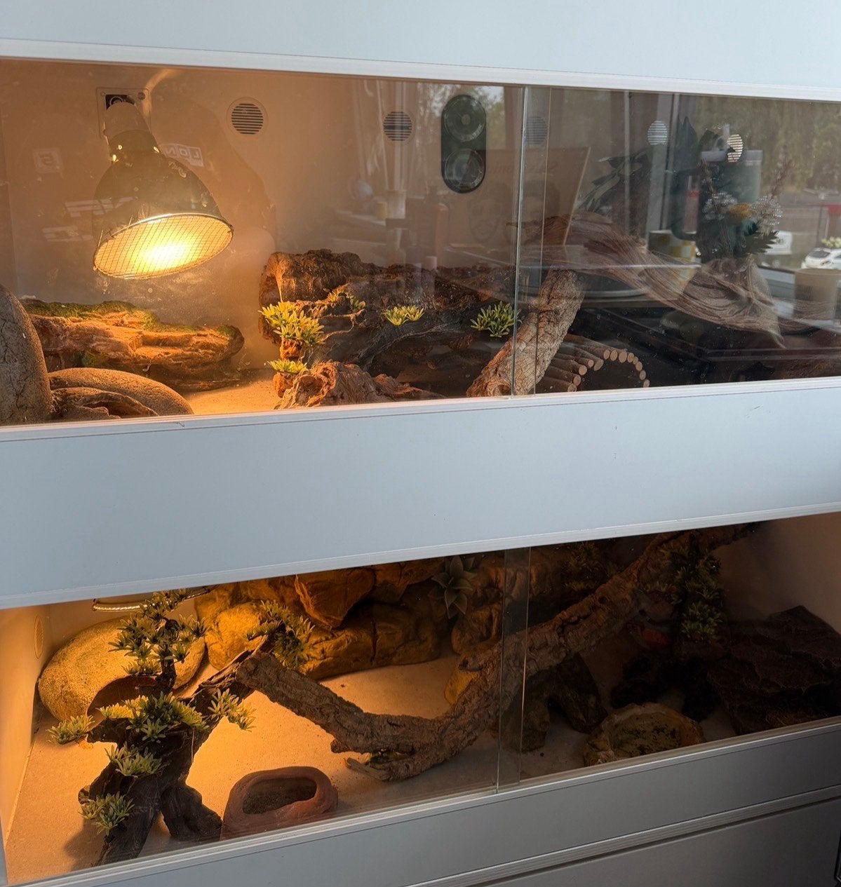 Dubbele terrariumkast met verlichting,kast  & accessoires, Ophalen, Gebruikt