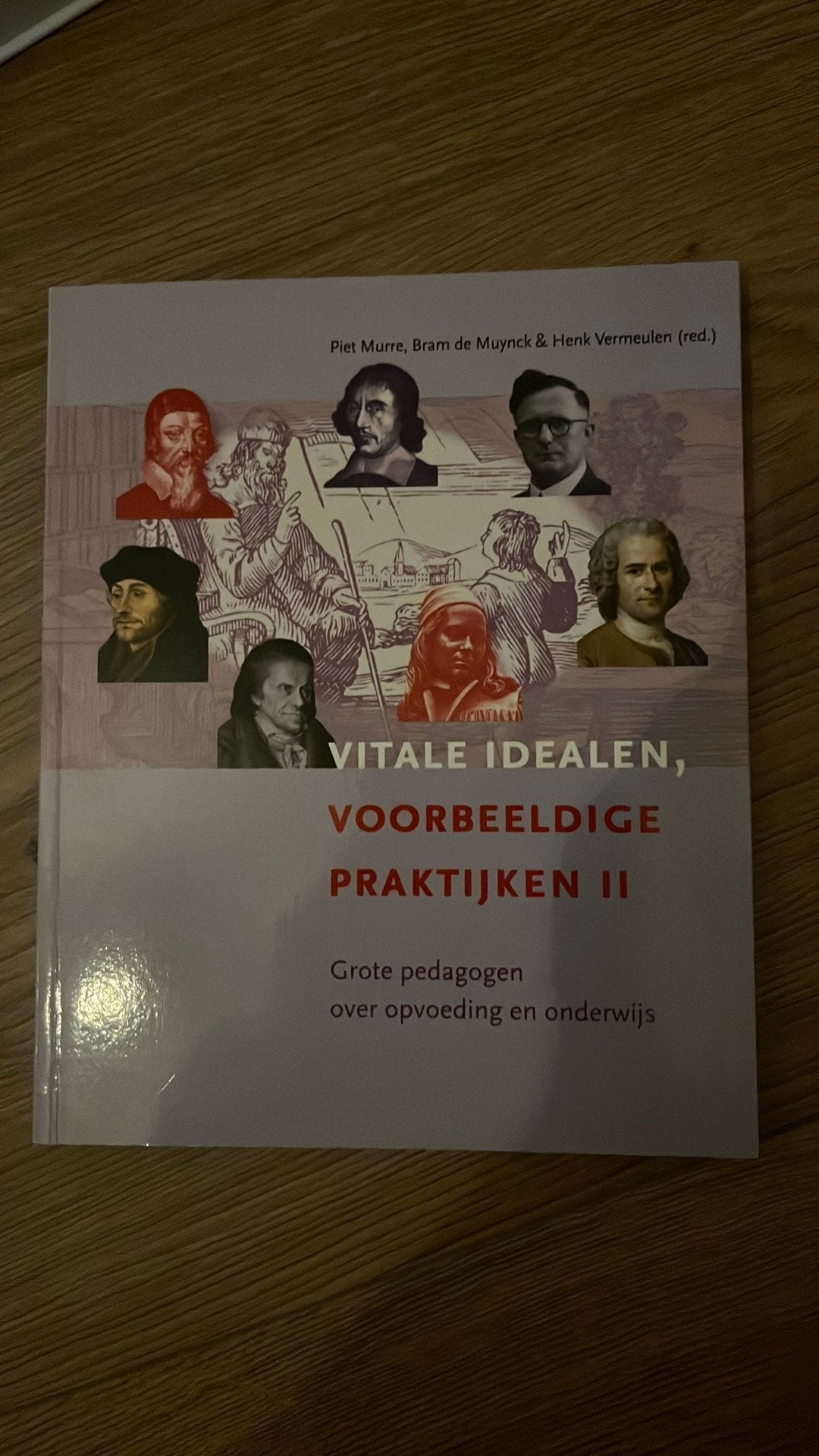 Vitale idealen, voorbeeldige praktijken II, Ophalen of Verzenden, Zo goed als nieuw