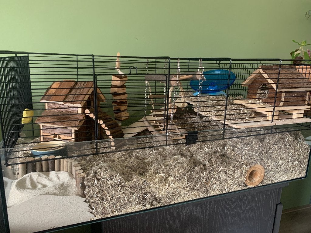 Hamsterkooi/terarrium incl. veel toebehoren hamsterscaping, Kooi, Zo goed als nieuw, Hamster, 75 tot 110 cm