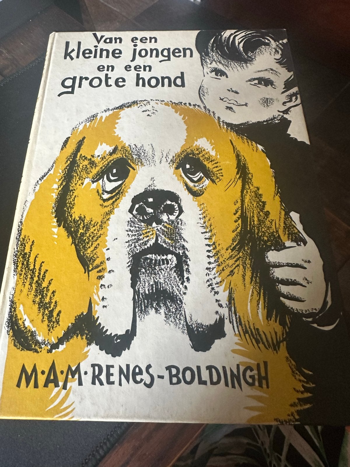 Antiek boek: Van een kleine jongen en een grote hond, Ophalen of Verzenden