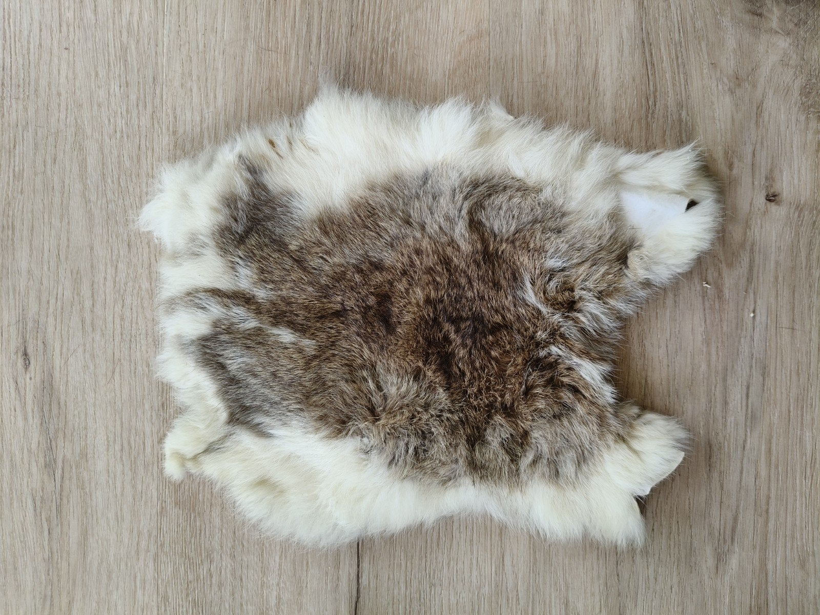 Konijnenvelletje Bruin/Wit, Minder dan 50 cm, Gebruikt, Landelijk, Rustiek, Minder dan 50 cm