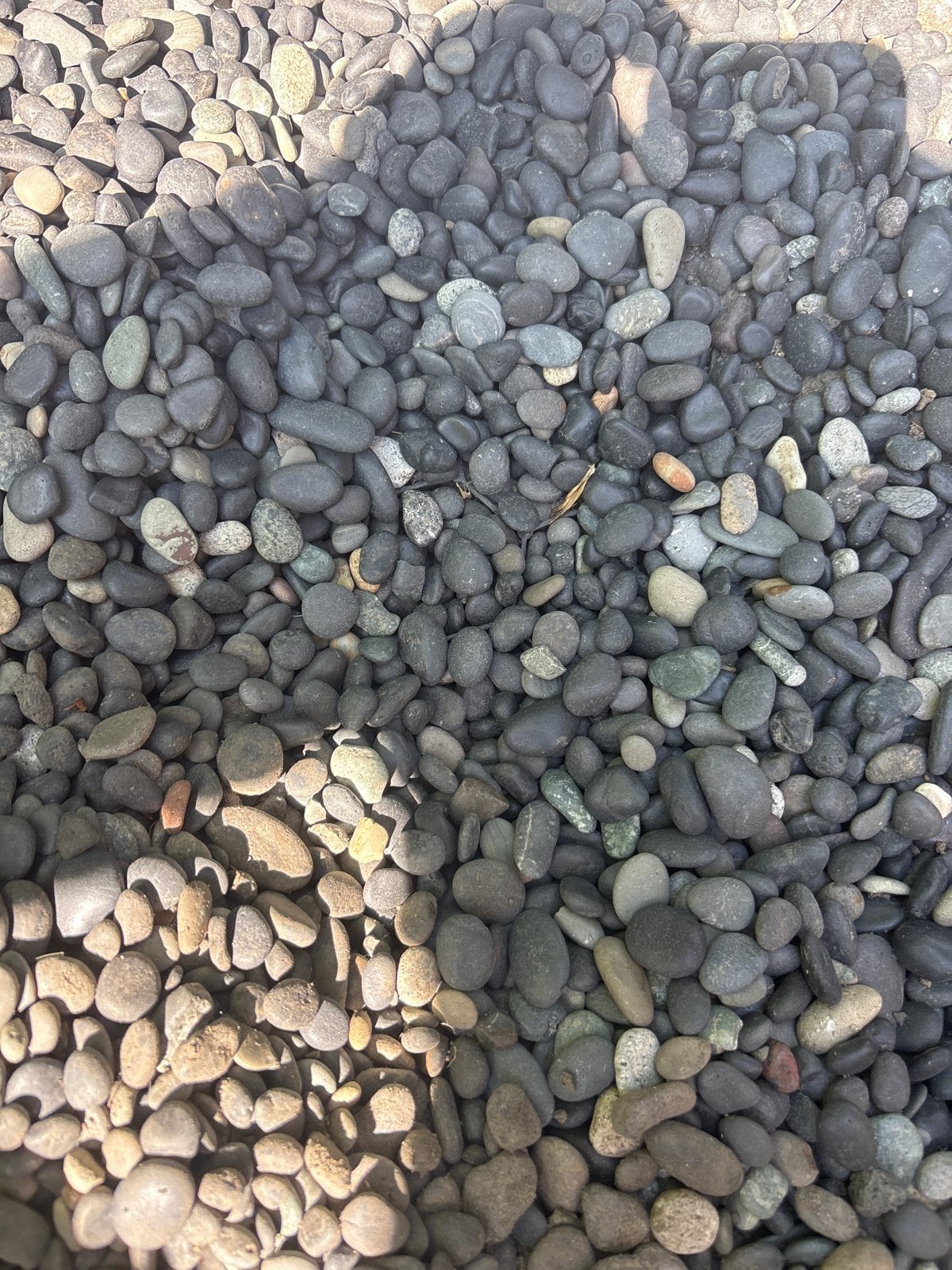 GRATIS. Donkergrijze sierkeien voor tuin en decoratie, Ophalen, Overige materialen, Gebruikt, Kei