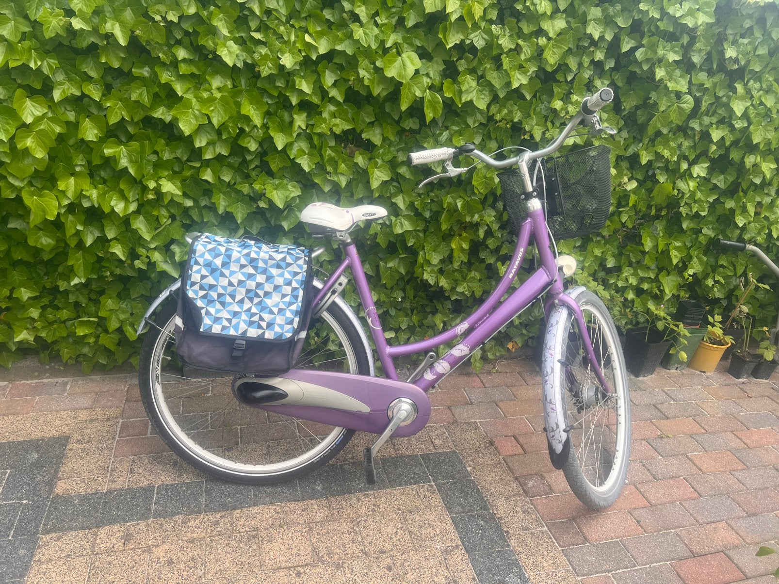 Mooie dames fiets rijd is prima, Ophalen, Zo goed als nieuw