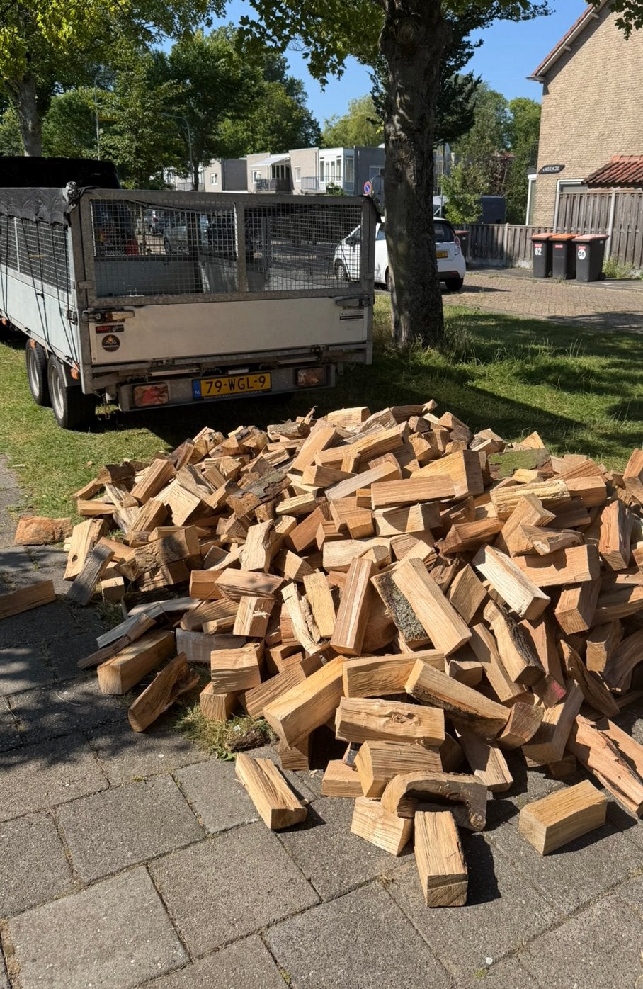 Droog haardhout uit het Amsterdamse Bos GRATIS BEZORGD *, Tuin en Terras, Haardhout, Ophalen of Verzenden, Blokken