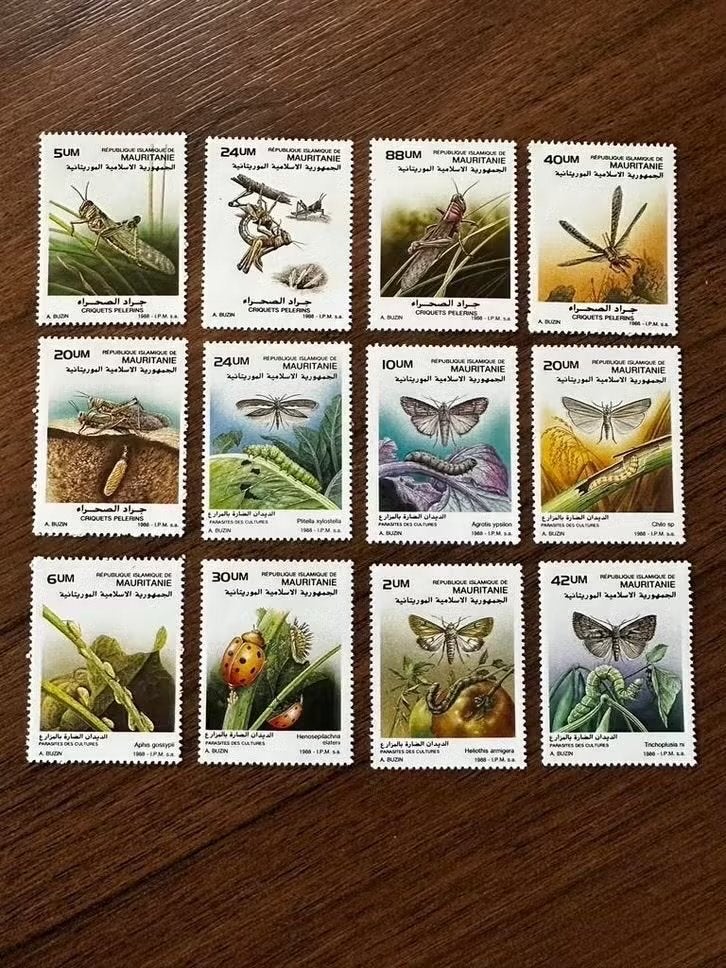 Mauritanië 1988 insecten vlinders dieren postfris, Postzegels en Munten, Ophalen of Verzenden, Overige landen, Postfris