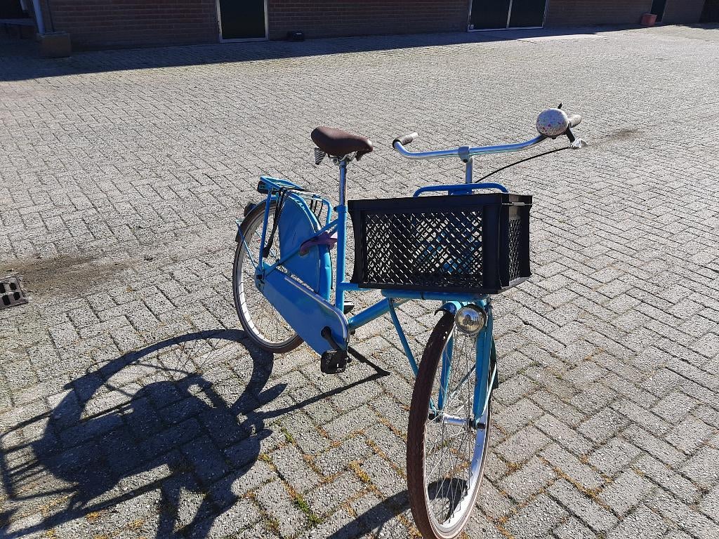 Meisjesfiets, Terugtraprem, Gebruikt, Popal, Ophalen