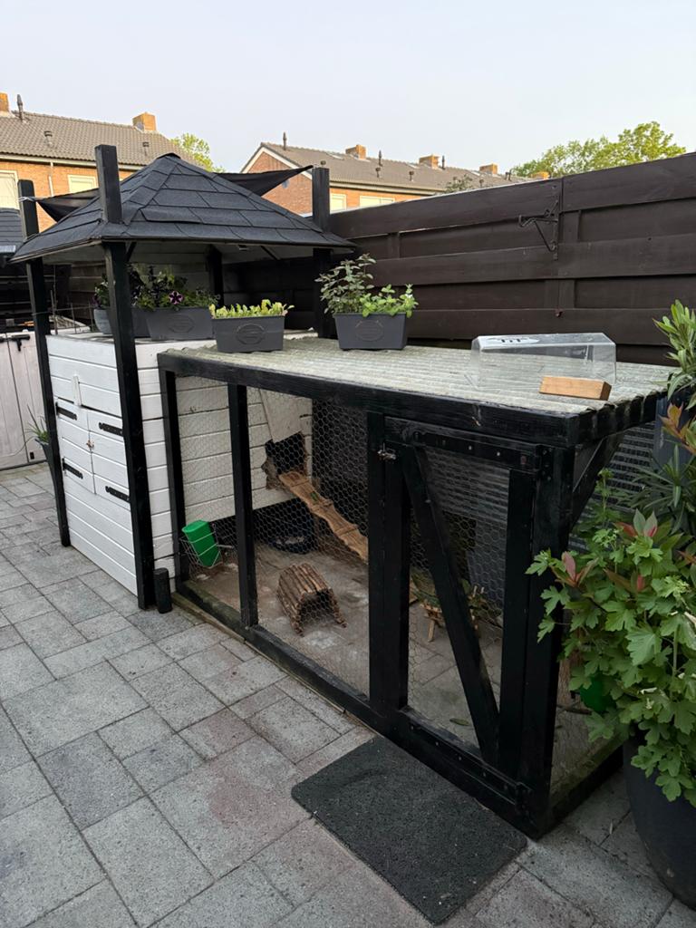 Ruim Konijnenhok met Groot Buitenverblijf te Koop!, Dieren en Toebehoren, Ophalen, 110 cm of meer, Hok, 90 cm of meer