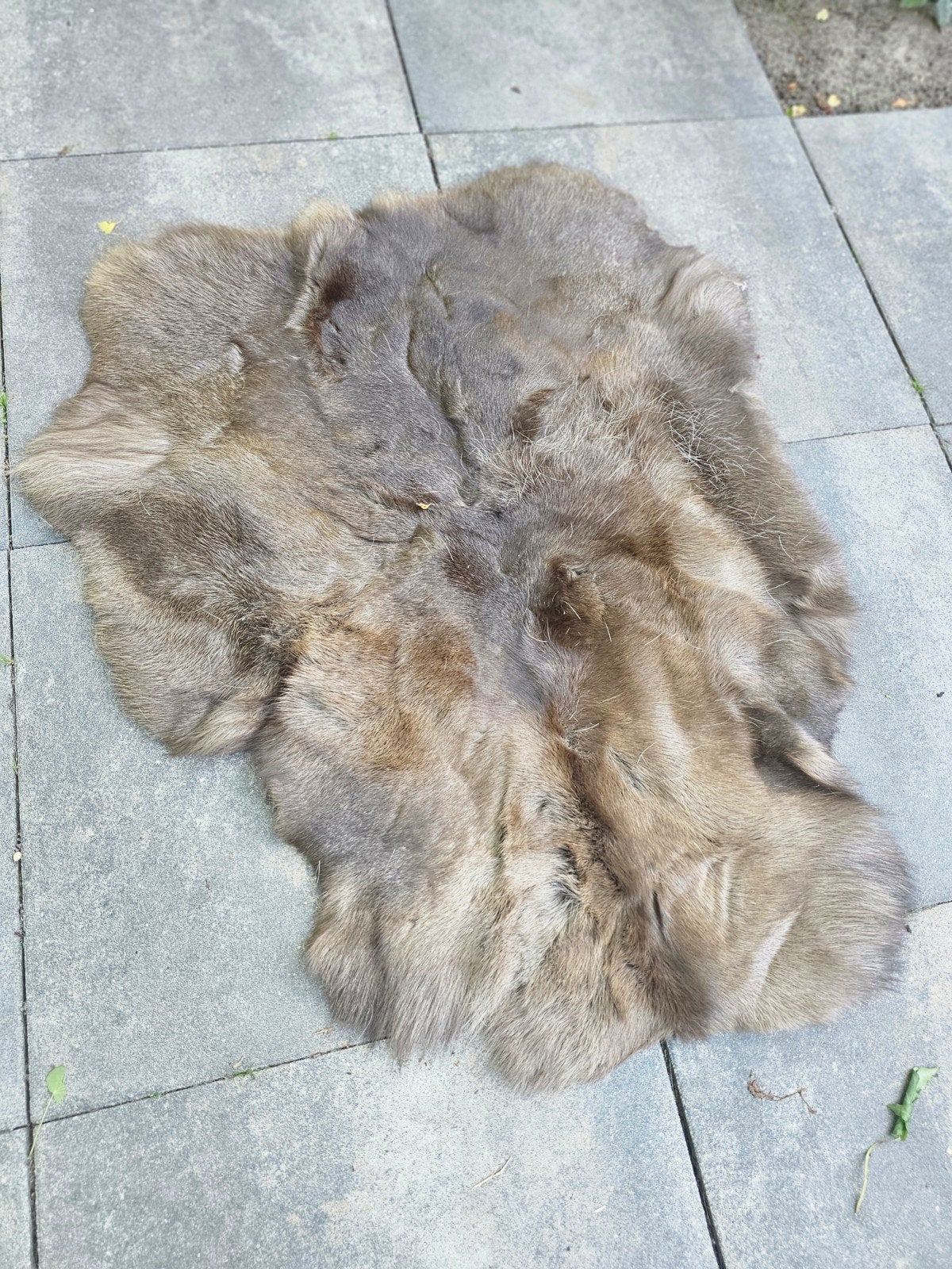 Nieuw rendierhuid vloerkleed, Nieuw, Ophalen of Verzenden, Landelijk, Natuurlijk materiaal