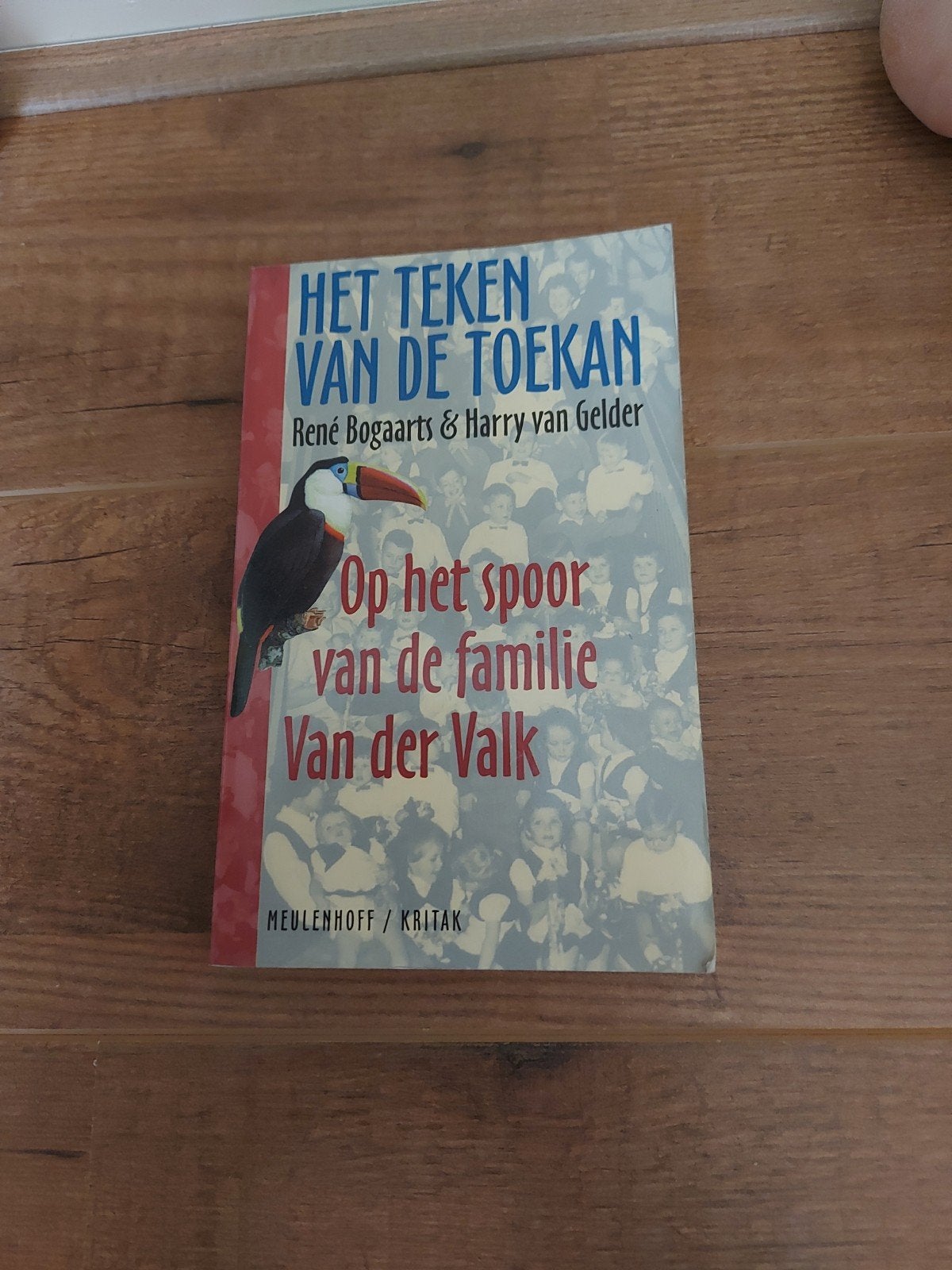 Het Teken van de Toekan - Familie Van der Valk, Ophalen of Verzenden, Gelezen, René Bogaarts & Harry van Gelder, Nederland