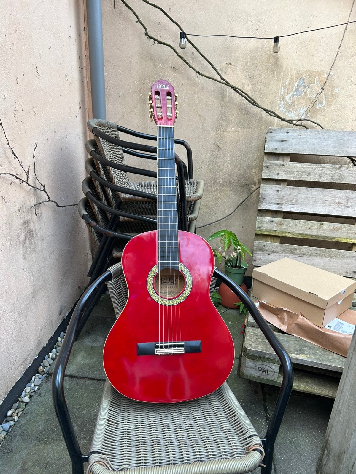 Foto 2 van Rode Lapaz gitaar