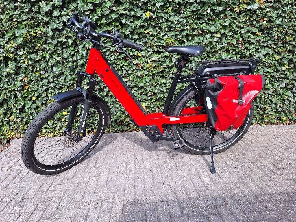 Electrische damesfiets, 51 tot 55 cm, Ophalen, Gebruikt, Riese & Müller