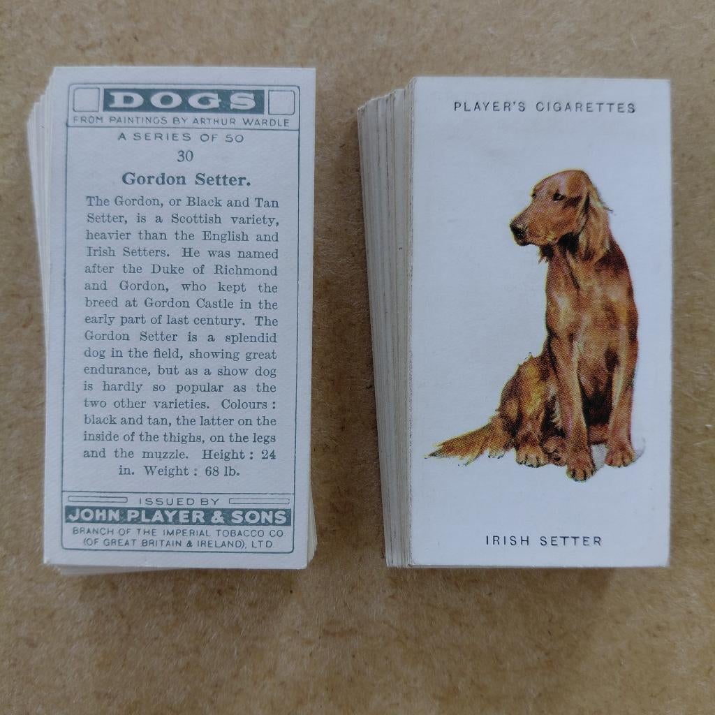 Dogs full length complete set 50 honden cigarette cards 1931, Ophalen