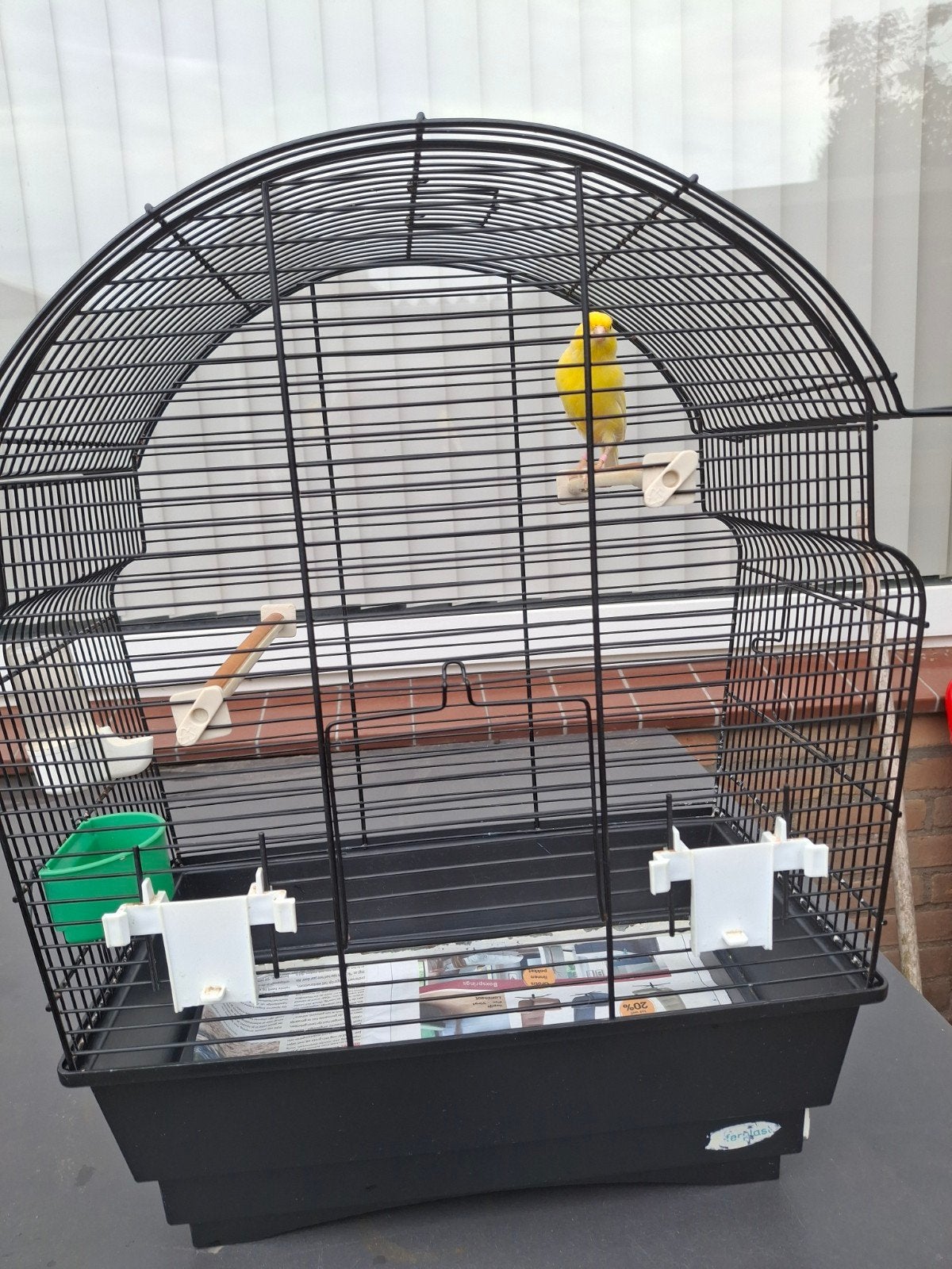 kooi inclusief met kanaries, Dieren en Toebehoren, Ophalen of Verzenden, Zo goed als nieuw, Metaal, Vogelkooi