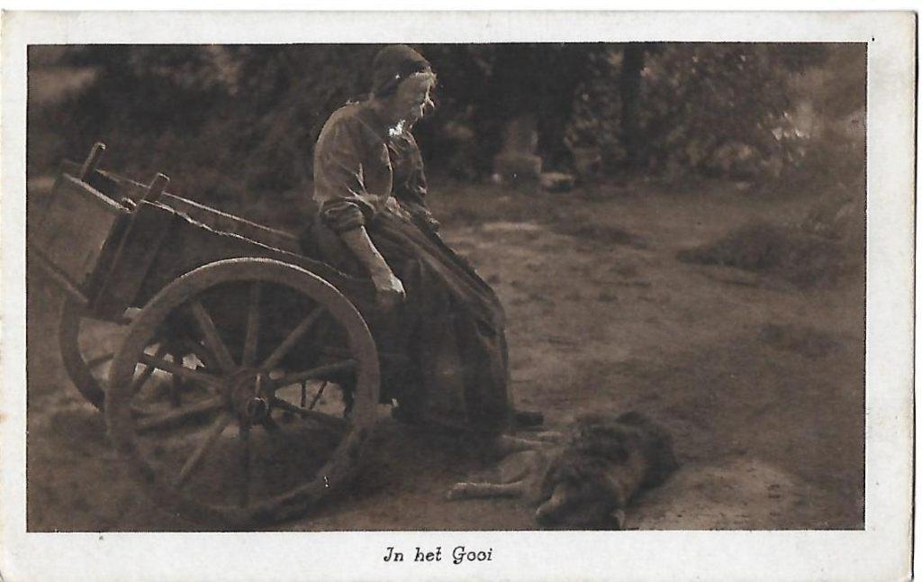 Het Gooi Boerenleven Oude Ongelopen Ansichtkaart ( B343 ), Ophalen of Verzenden, 1940 tot 1960, Ongelopen