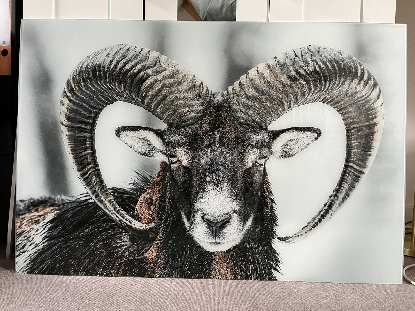 Glasplaat met Ram 120x80, Ophalen, Zo goed als nieuw, 100 tot 125 cm, Foto of Poster