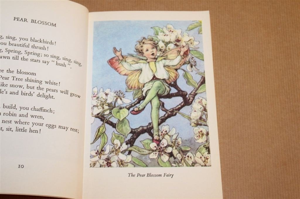 Flower Fairies of the Trees — Cicely M. Barker, 1974, Ophalen of Verzenden, Gelezen