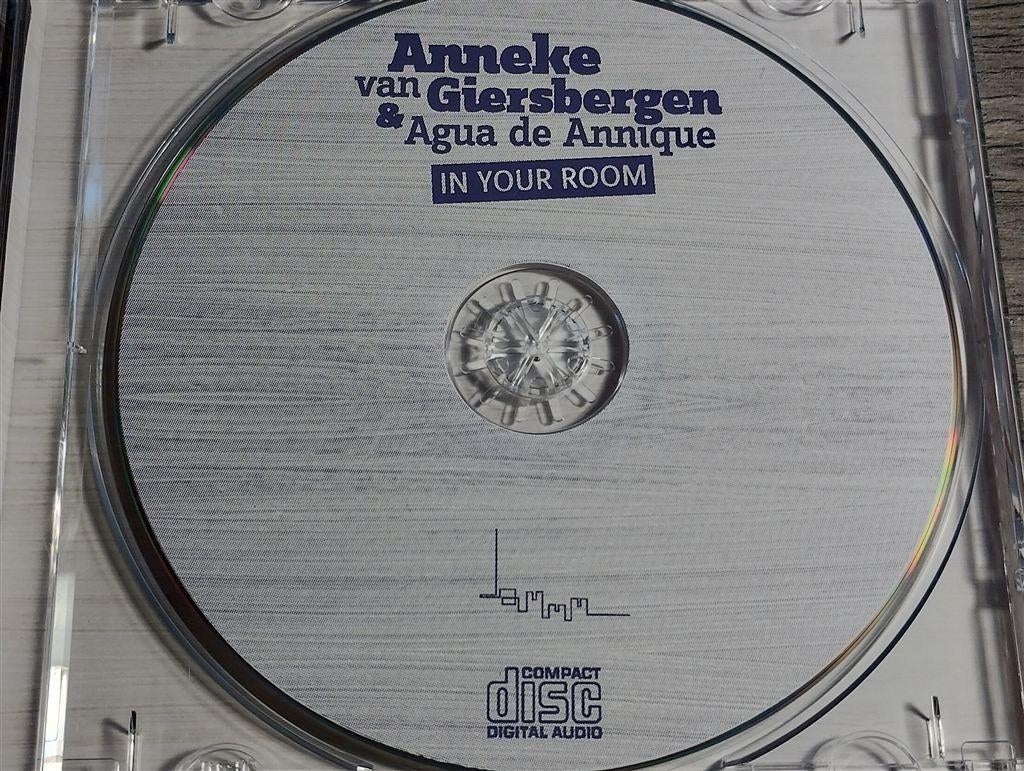 Anneke van Giersbergen & Agua De Annique ‎– In Your Room, Ophalen of Verzenden, Zo goed als nieuw