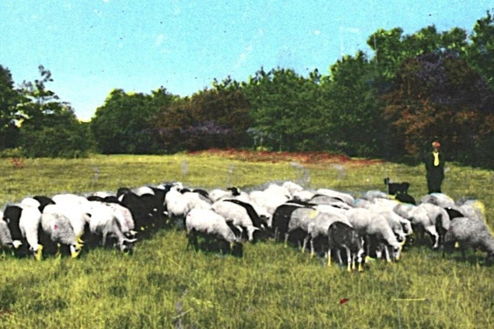939823 Drente Drenthe 1964 Hunnebed Hunebed Gelopen, Verzenden, 1960 tot 1980, Gelopen, Drenthe