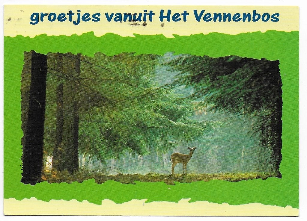 Hapert Het Vennebos Gelopen Ansichtkaart ( B5688 ), Ophalen of Verzenden, 1980 tot heden, Gelopen