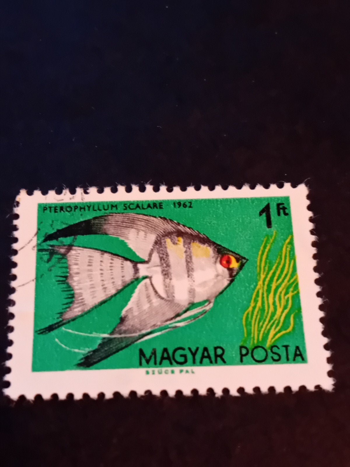 Hongaarse postzegel Pterophyllum Scalare 1962, Ophalen of Verzenden