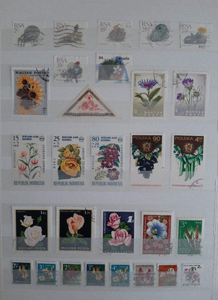 3 Kaarten Postzegels Bijzondere en Mooiste Bloemen No. 26, Ophalen, Dier of Natuur