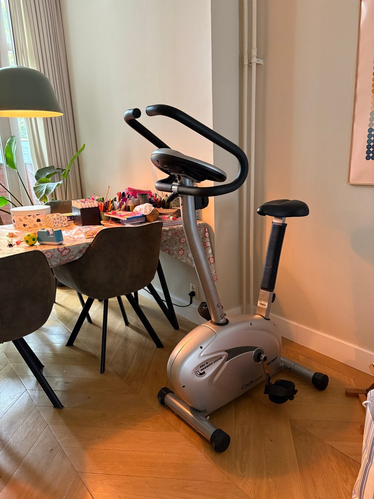 Proteus Hometrainer - Ideaal voor thuisworkouts, Ophalen, Gebruikt, Metaal, Benen