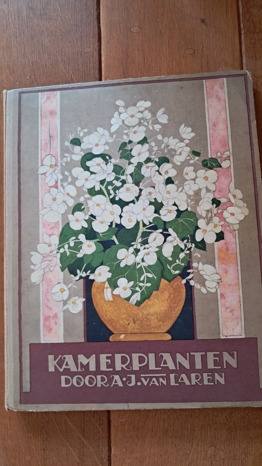 Kamerplanten door A.J. van Laren - Verkade Album 1928, Antiek en Kunst, Ophalen, A.J. van Laren
