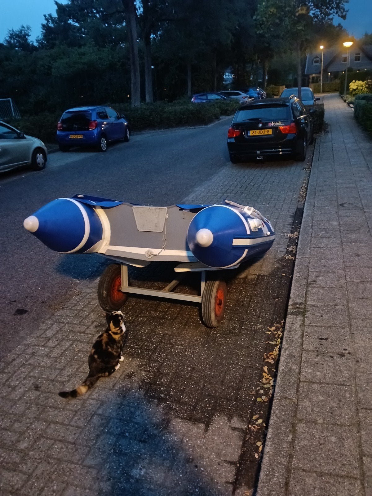 Foto 22 van rubberboot met moter / buitenboordmotor en trailer
