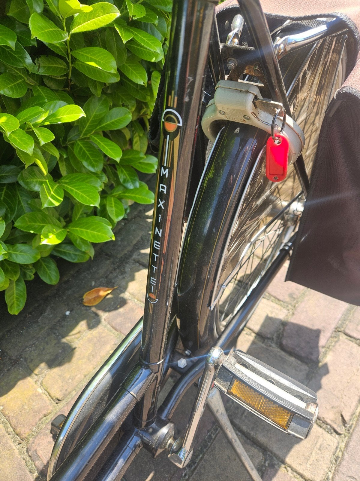 Maxinette Damesfiets - Klassiek en Betrouwbaar, Terugtraprem, Ophalen, Overige merken, 53 tot 56 cm