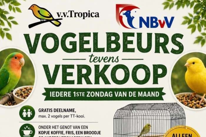 7 -6 op beurs heemskerk nu thuis, Dieren en Toebehoren, Vogels | Parkieten en Papegaaien, Meerdere dieren, Parkiet