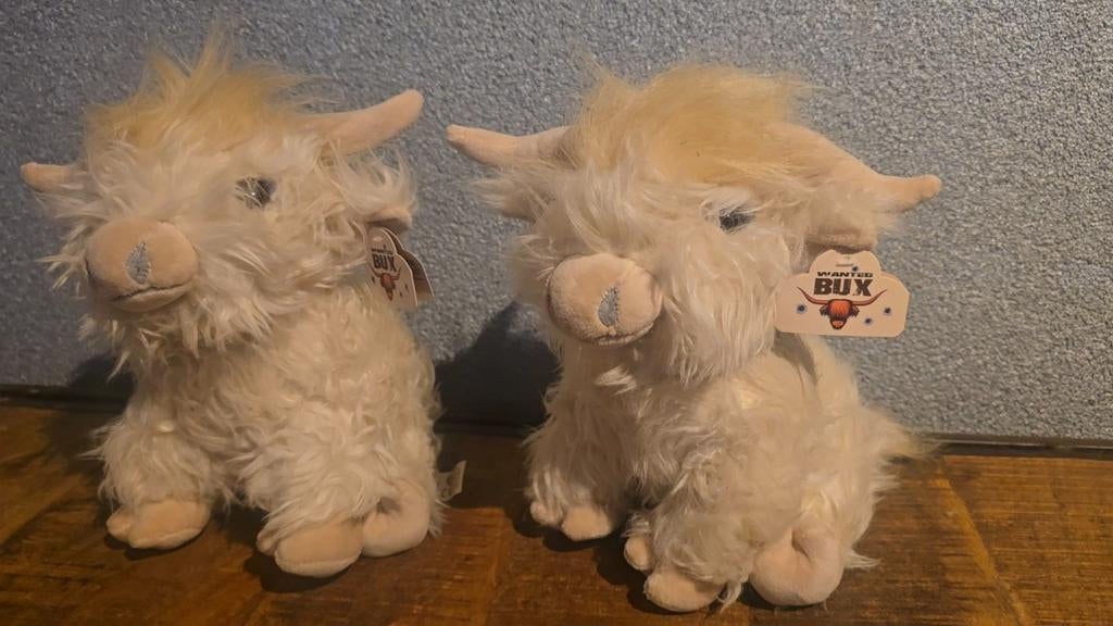 2 Schotse hooglanders, knuffels nieuw, Ophalen of Verzenden, Nieuw, Overige typen