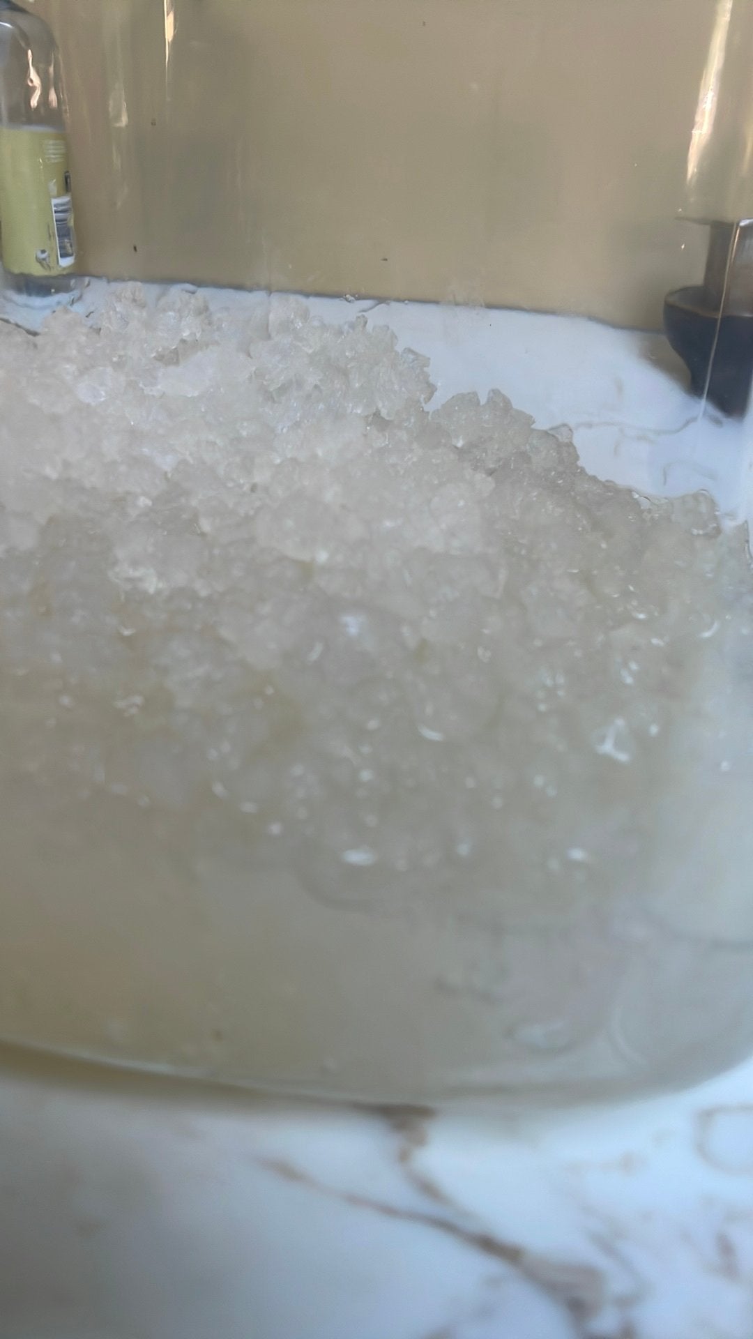Kefirkorrels 100 gram, Diversen, Levensmiddelen, Ophalen