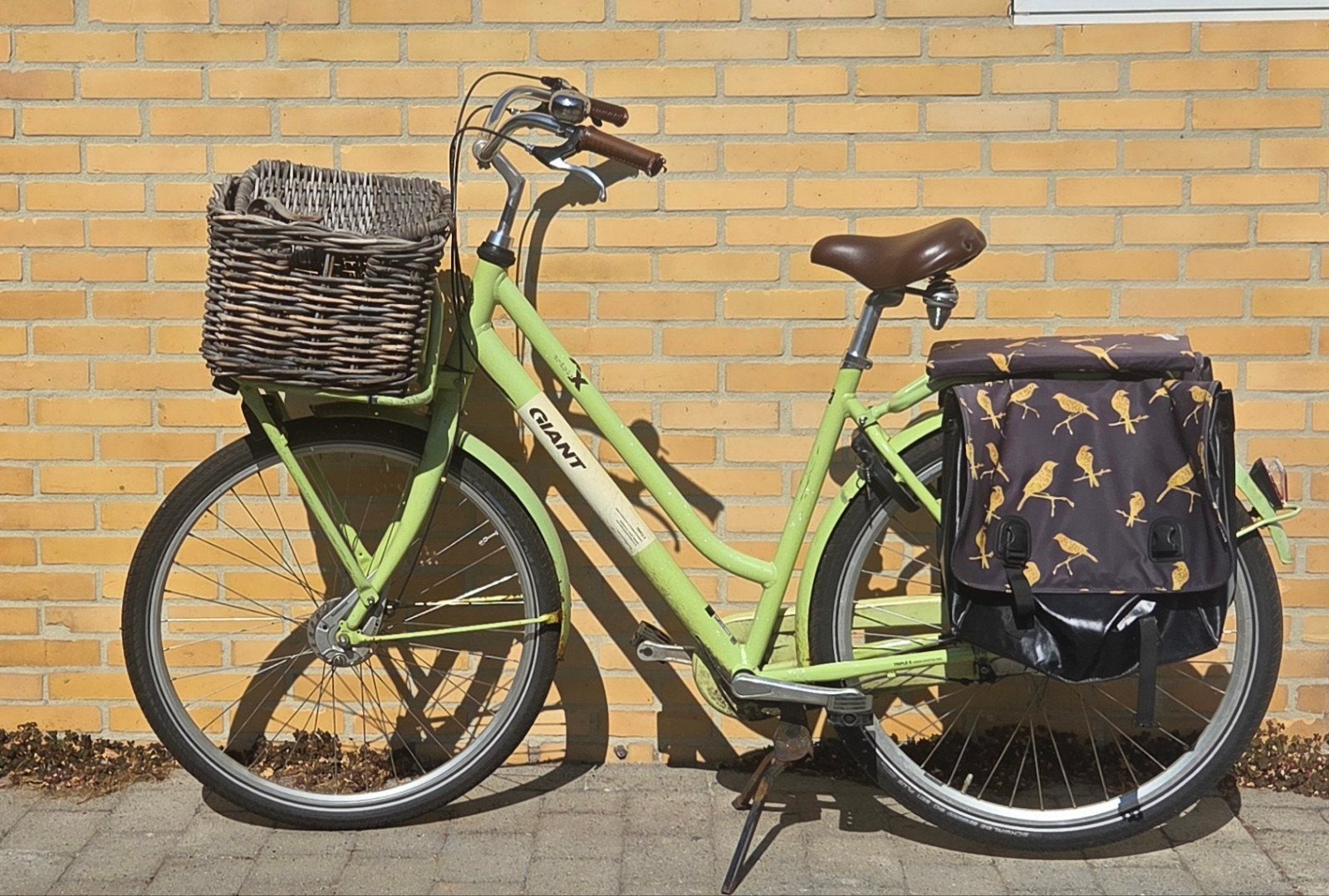 Giant Triple X Damesfiets - Lichtgroen met mand en tassen, Ophalen, Velgrem, Versnellingen, Giant
