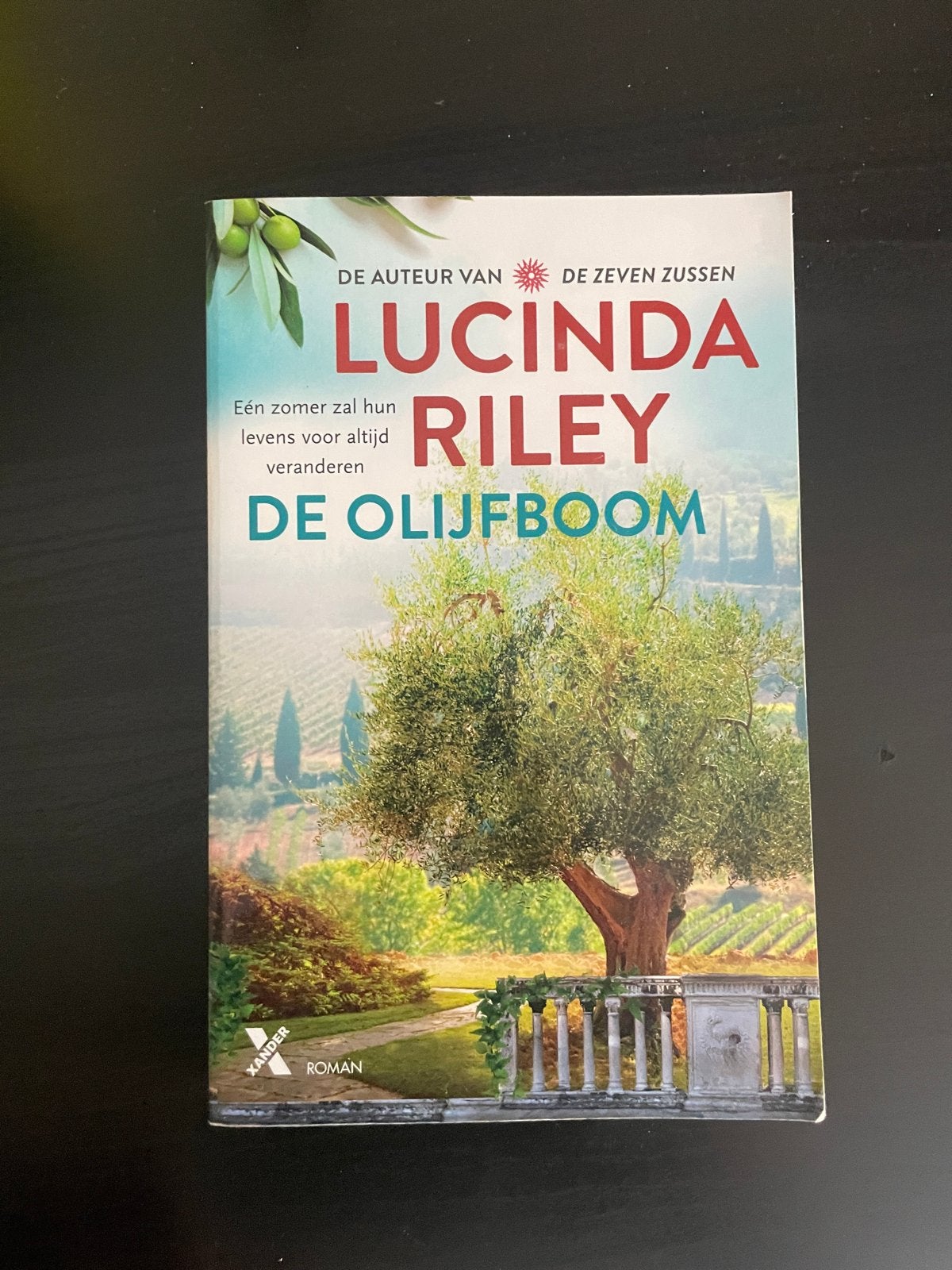De Olijfboom - Lucinda Riley (De Zeven Zussen), Boeken, Ophalen of Verzenden, Zo goed als nieuw, Nederland