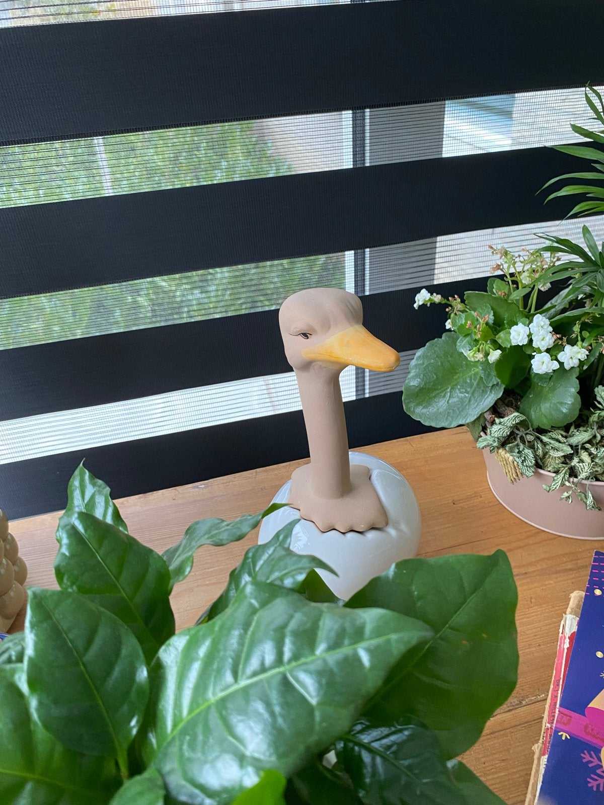 Leuke spaarpot in de vorm van een struisvogel uit een ei, Ophalen, Zo goed als nieuw, Steen, Aardewerk of Keramiek, Dier