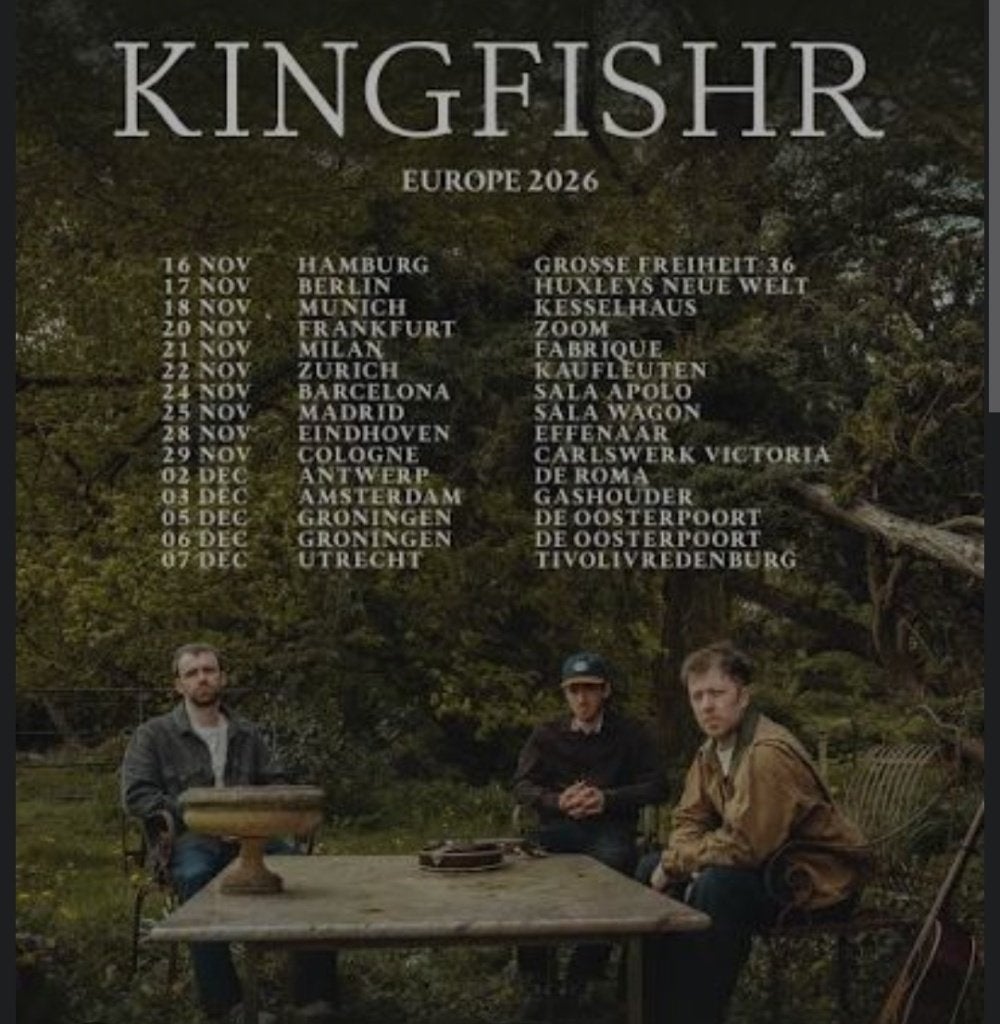 GEZOCHT: 2 kaartjes Kingfishr concert nov./dec NL BE, Tickets en Kaartjes, Twee personen, December