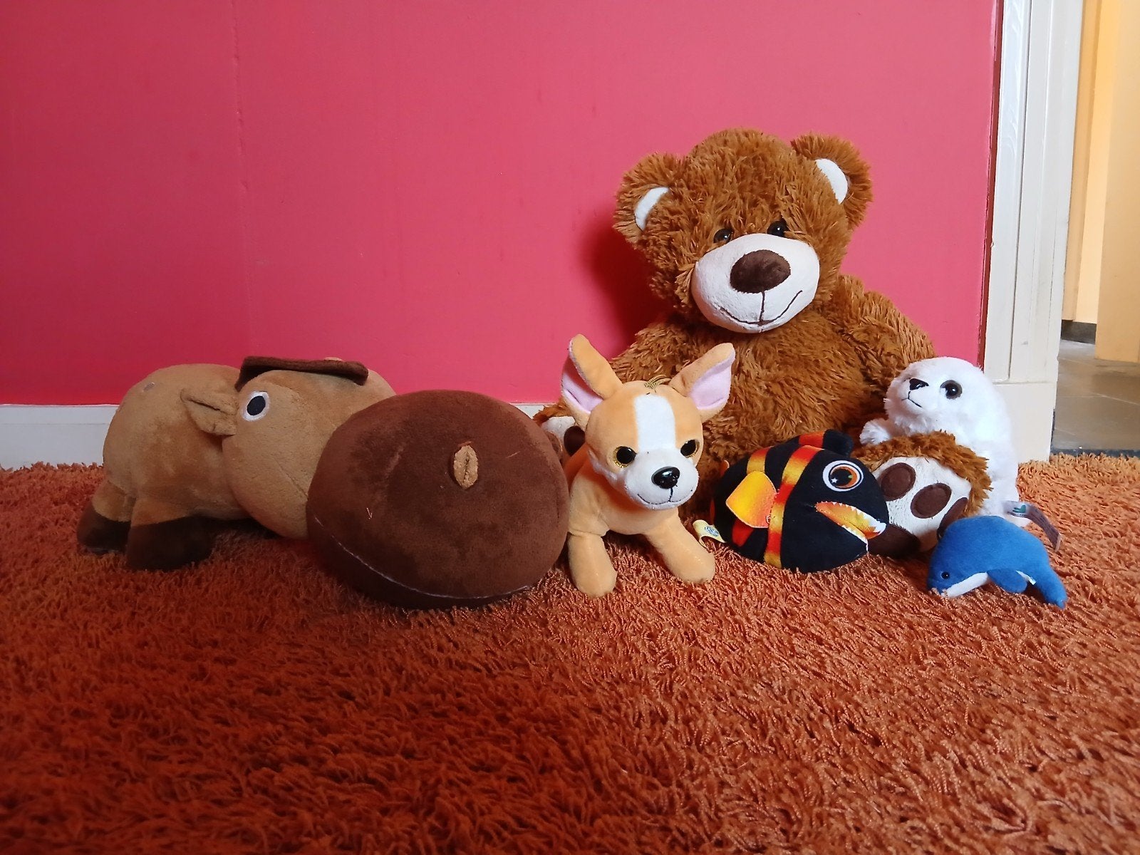 Knuffelbeestjes, Ophalen, Beer, Zo goed als nieuw, Middelgroot (20 tot 80 cm)