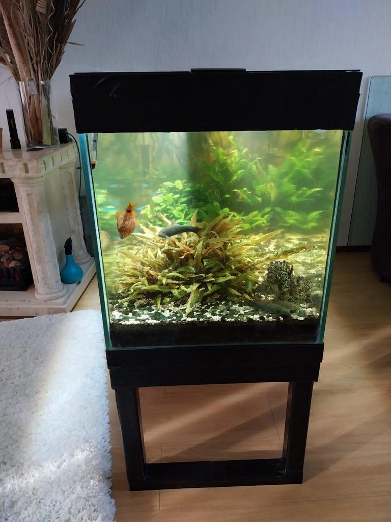 150 cm bak + onderstel + 2 pompen, Dieren en Toebehoren, Vissen | Aquaria en Toebehoren, Ophalen of Verzenden, Gevuld zoetwateraquarium