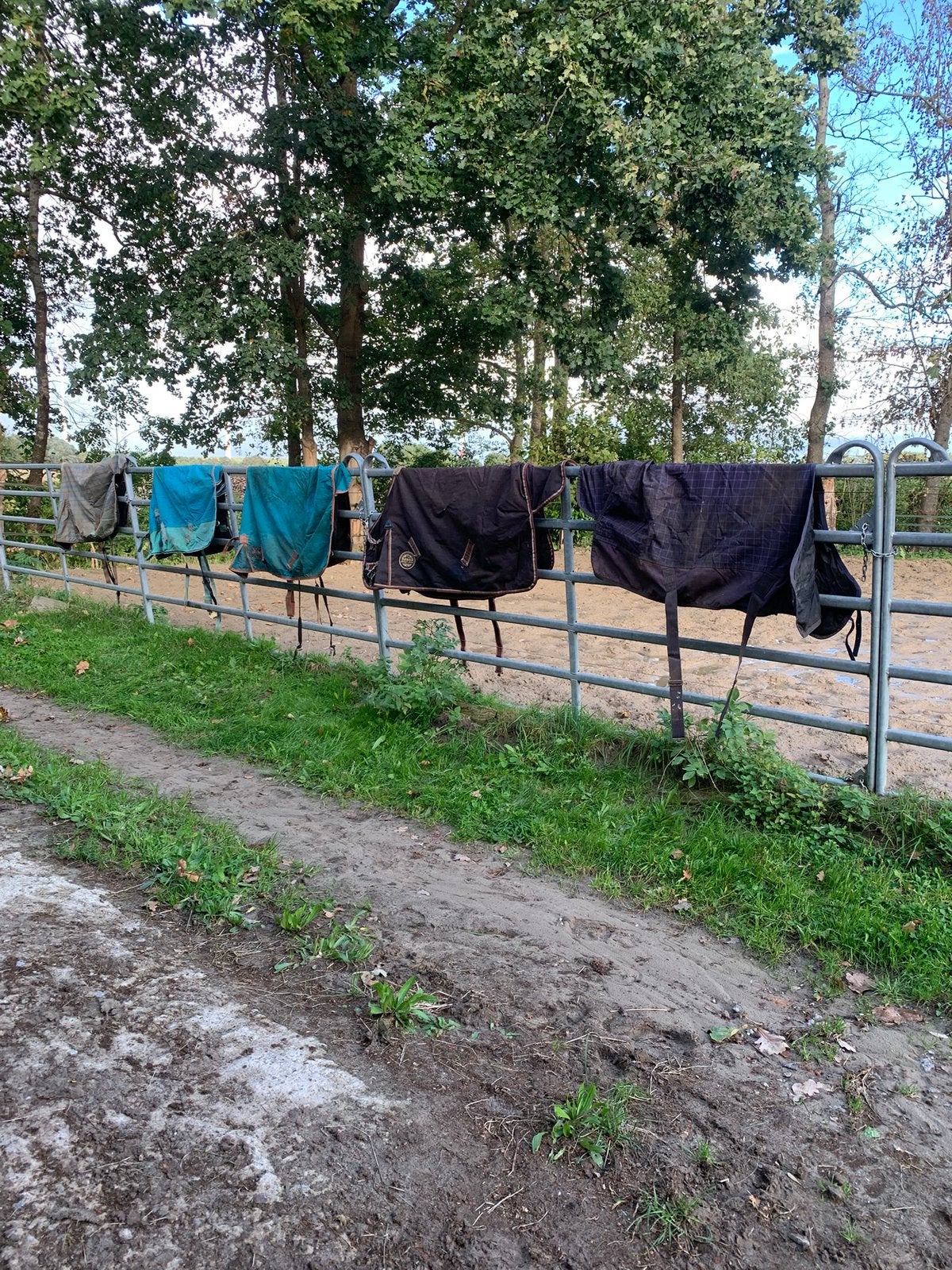 5 schetlander dekens maat 115, Ophalen of Verzenden, Gebruikt