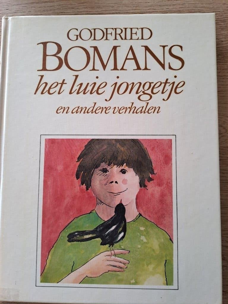 GODFRIED BOMANS. HET LUIE JONGETJE EN ANDERE VERHALEN., Boeken, Ophalen of Verzenden, Gelezen, Godfried Bomans, Fictie algemeen