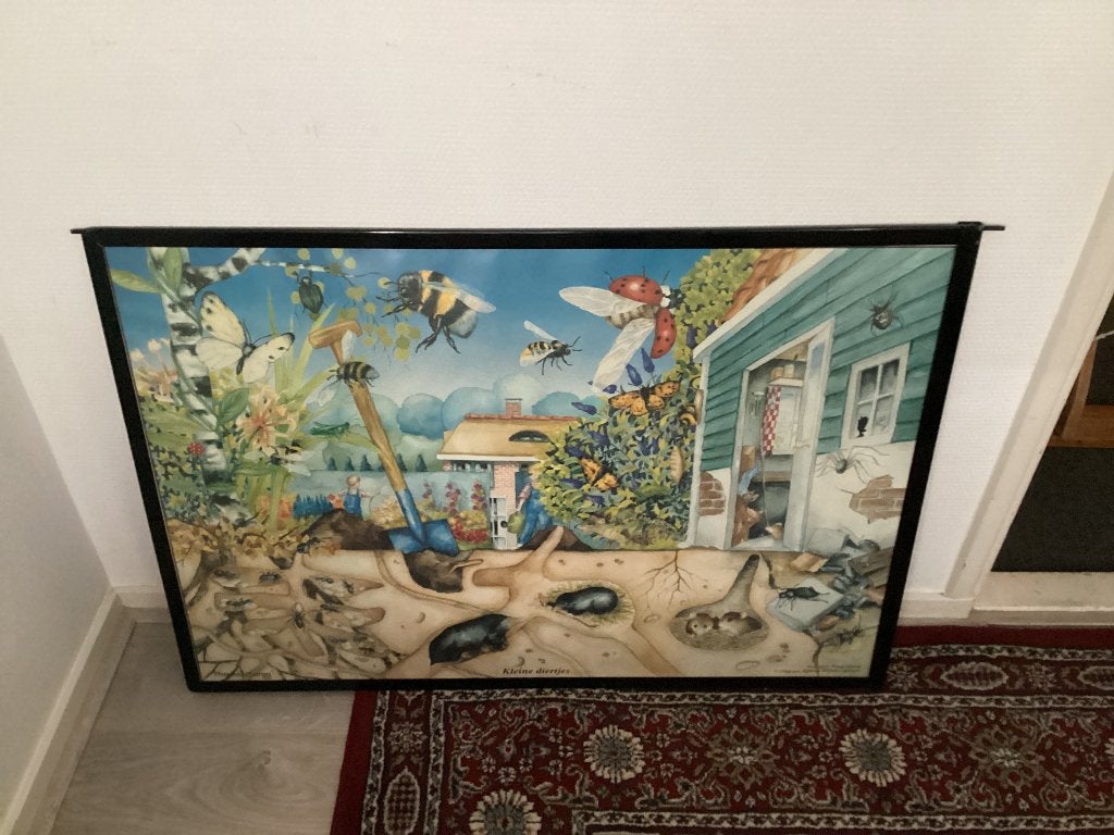 Mooie vintage schoolplaat, Antiek en Kunst, Antiek | Schoolplaten, Ophalen, Natuur en Biologie