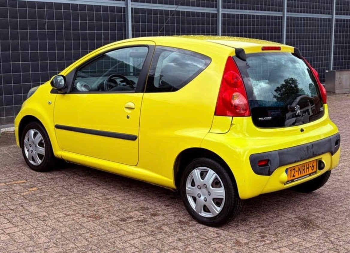 Peugeot 107 2010, Dieren en Toebehoren, Springpaard, Met stamboom, Ruin, 3 tot 6 jaar