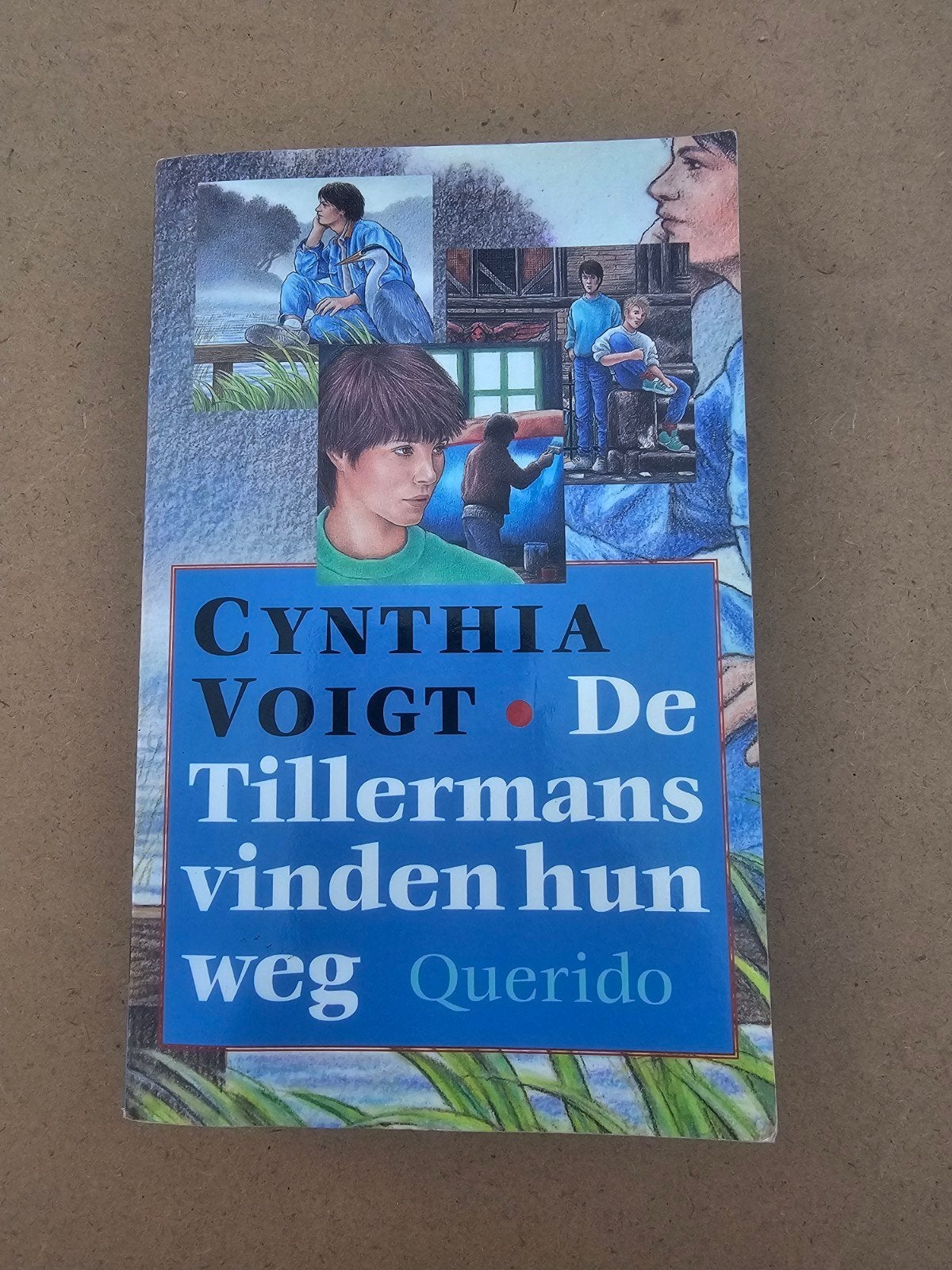 Cynthia Voigt - De Tillermans vinden hun weg, Ophalen of Verzenden, Zo goed als nieuw