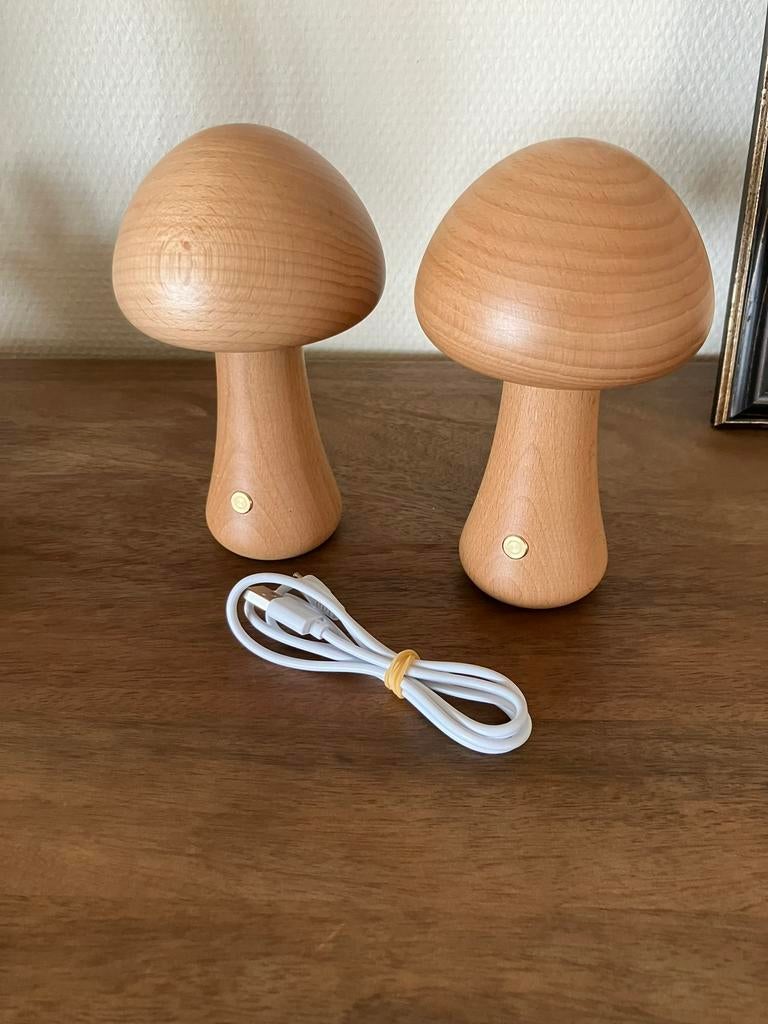 Twee houten paddenstoel lampjes oplaadbaar, Ophalen of Verzenden, Zo goed als nieuw, Minder dan 50 cm