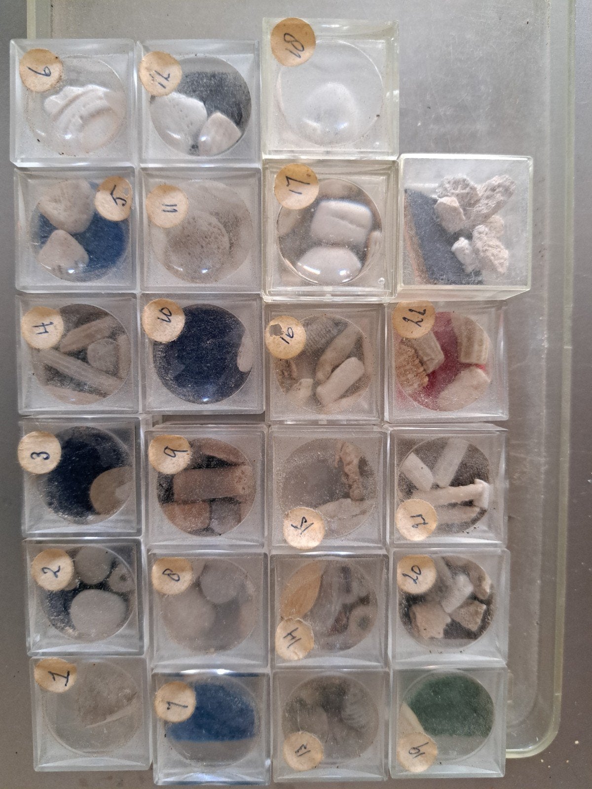 Vezameling kleine fossielen en schelpjes, Ophalen, Fossiel