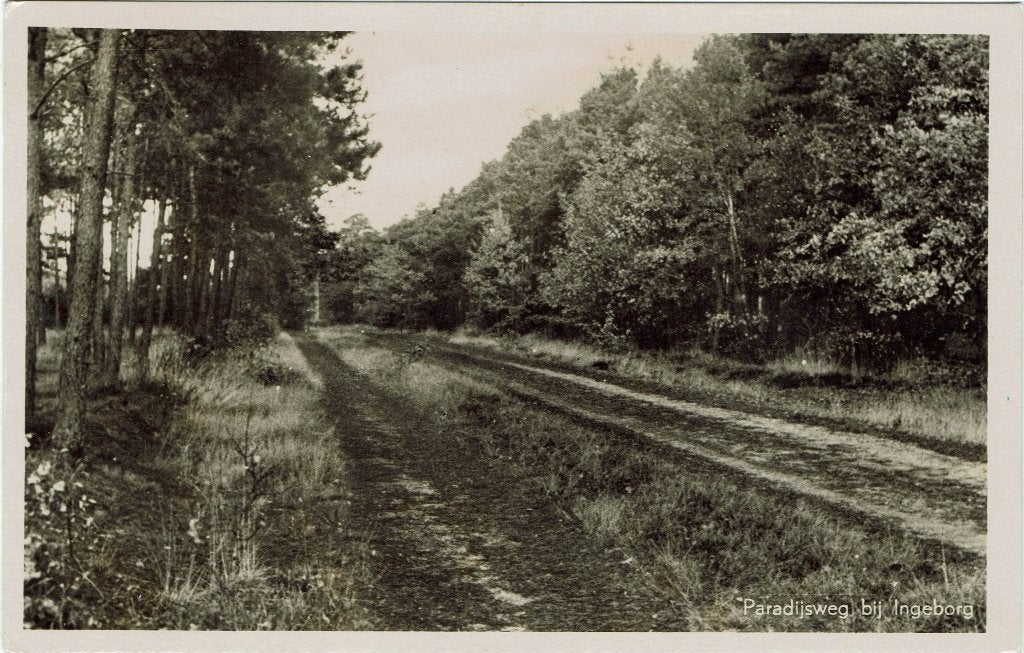 Leusden – Paradijsweg bij Ingeborg. Gelopen Leiden 1953., Ophalen of Verzenden, 1940 tot 1960, Gelopen, Utrecht