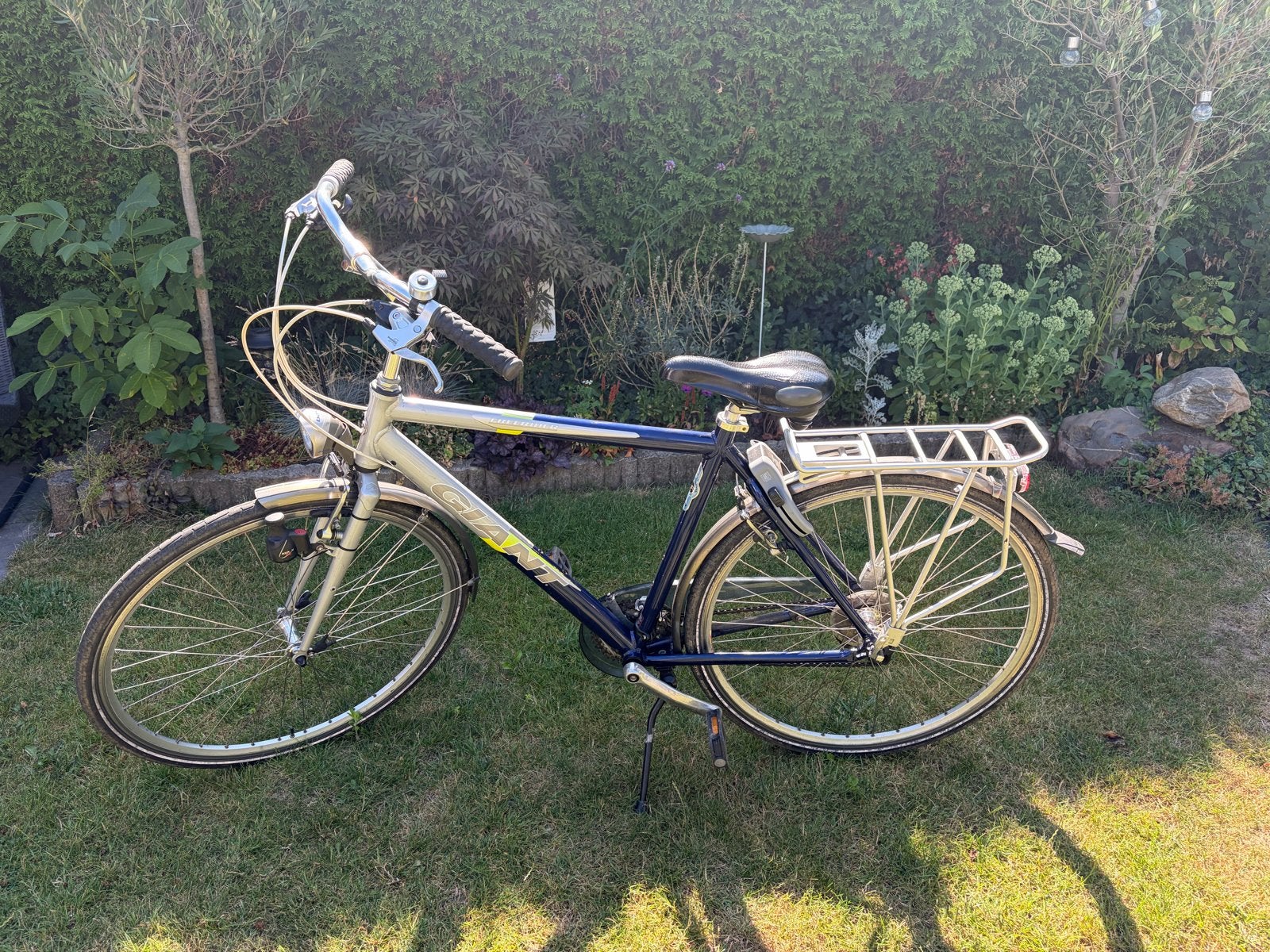 Giant Freerider Damesfiets - Comfortabel en Robuust, Ophalen, 28 inch, Gebruikt, Velgrem