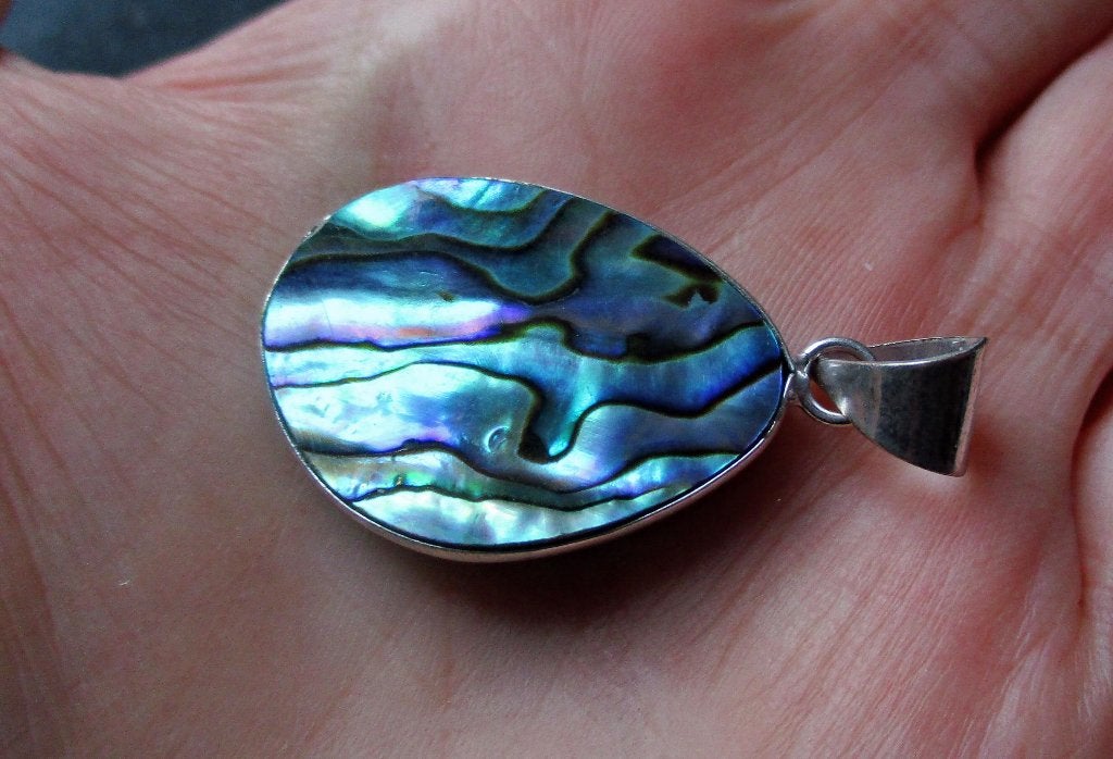 783/ mooie abalone hangers(meerdere foto's), Overige kleuren, Nieuw, Ophalen of Verzenden, Steen of Mineraal