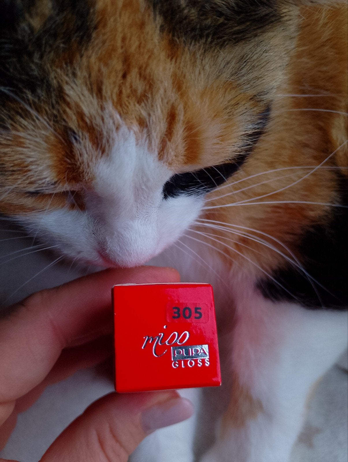 Miss Pupa Gloss - Essential Red - 305, Ophalen, Lippen, Nieuw, Make-up